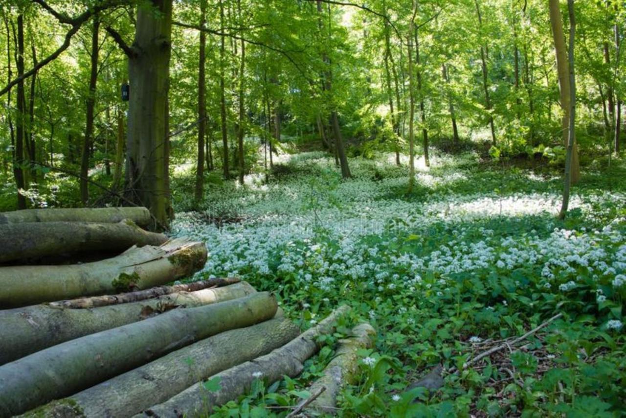 Beautiful 3-Bed Luxury Private Lodge In York Zewnętrze zdjęcie